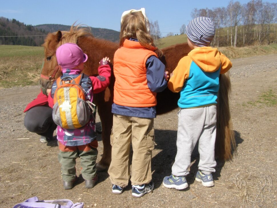 Equine Assisted Services explained – online course