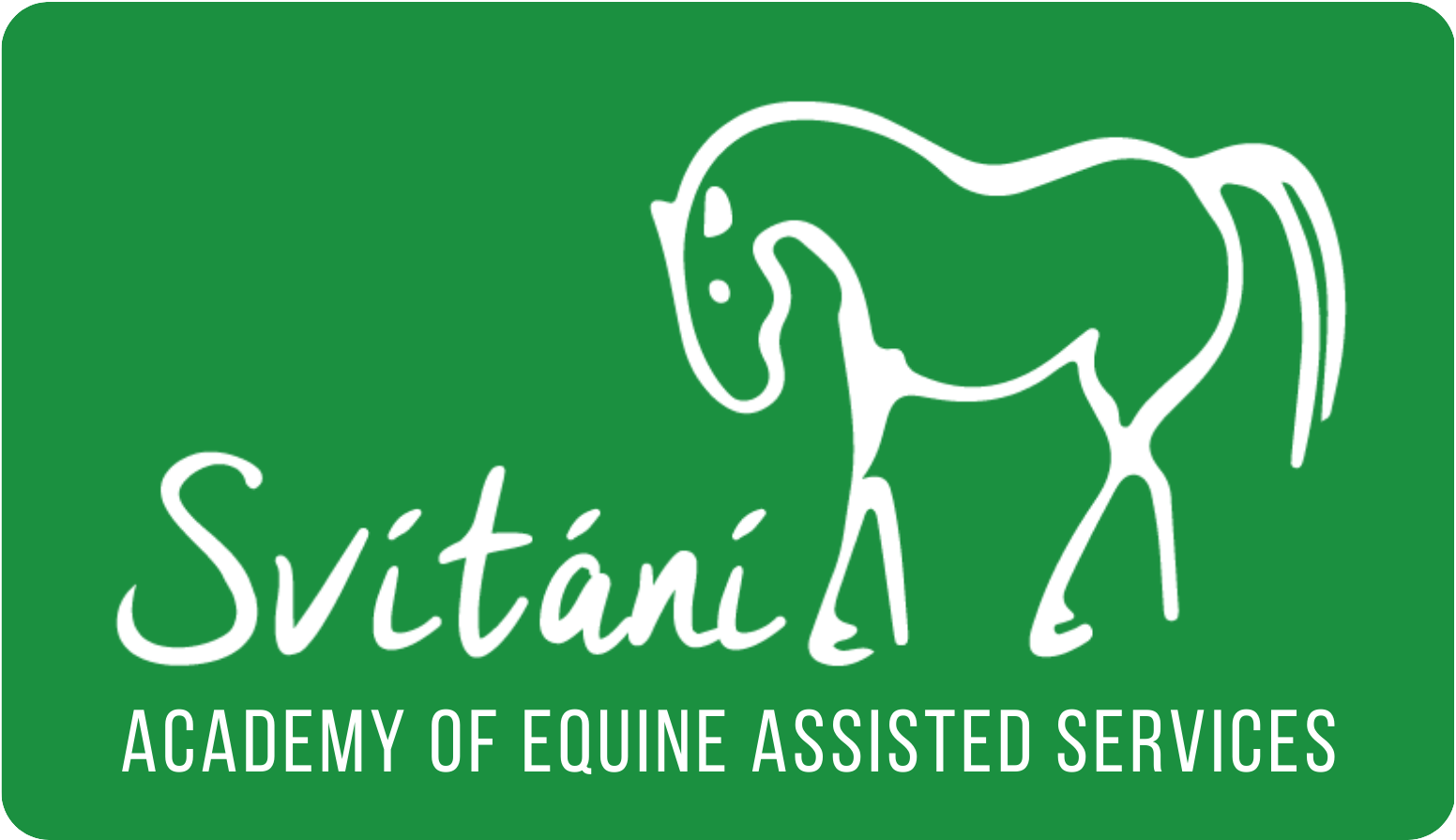 academy-of-equine-assisted-services-hipoterapie-kurzy