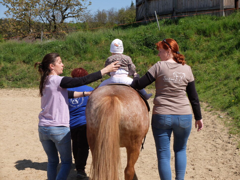Equine Assisted Physiotherapy for toddlers and infants – Svitani Academy EAPT early intervention training physiotherapy with horse movement for infants EAS specialist training for toddlers