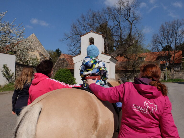 Equine Assisted Physiotherapy for toddlers and infants – Svitani Academy EAPT early intervention training physiotherapy with horse movement for infants EAS specialist training for toddlers