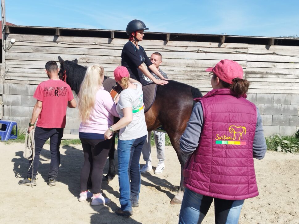 Core Principles in Equine Assisted Services – online course