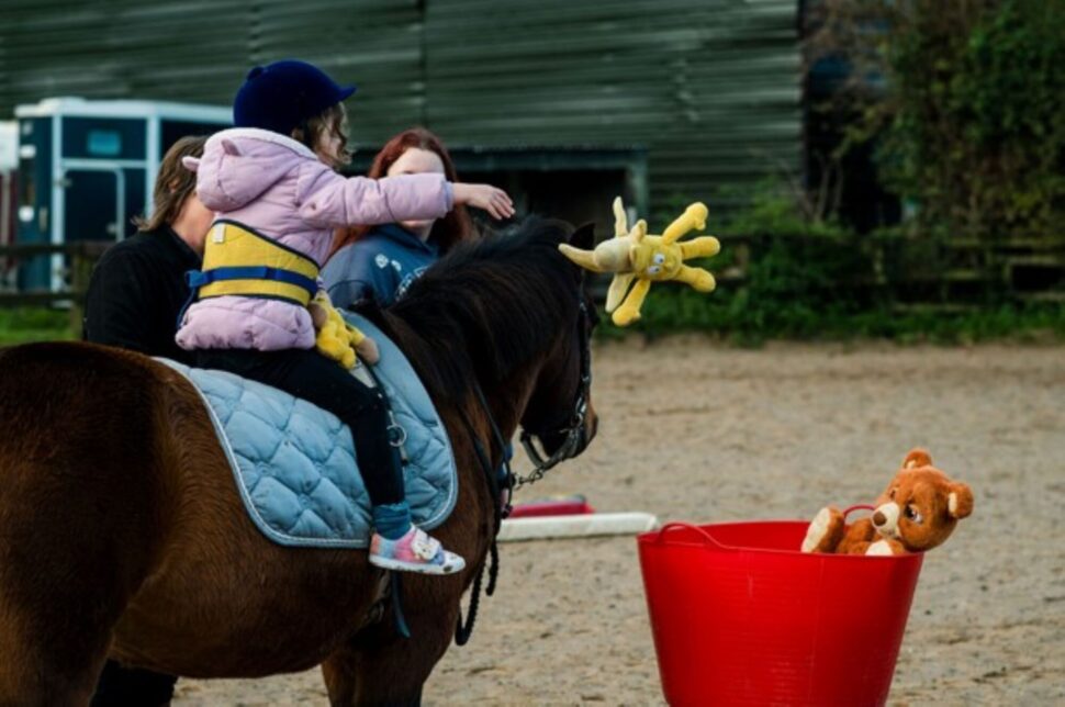 EAOT – Equine Assisted Occupational Therapy online course Svitani Academy EAOT training Occupational Therapy in Equine Assisted Services