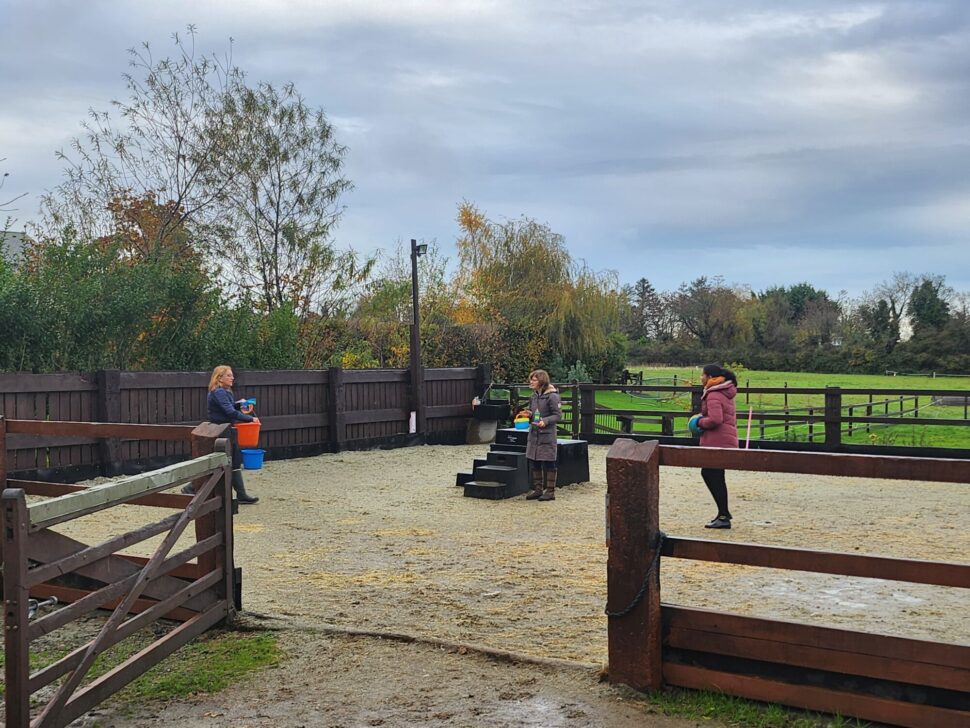 Equine Assisted Therapy practical training in Porto – Svitani Academy EAT hands-on practice with horses in Portugal Svitani Academy EAT practical course