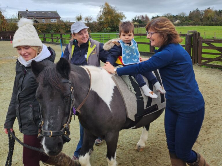 Equine Assisted Therapy practical training in Porto – Svitani Academy EAT hands-on practice with horses in Portugal Svitani Academy EAT practical course