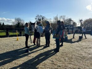 Equine Assisted Therapy practical training in Porto – Svitani Academy EAT hands-on practice with horses in Portugal Svitani Academy EAT practical course