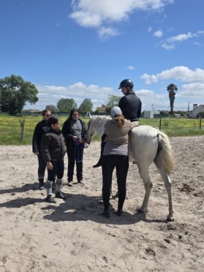 Principles to Practice in Equine Assisted Services