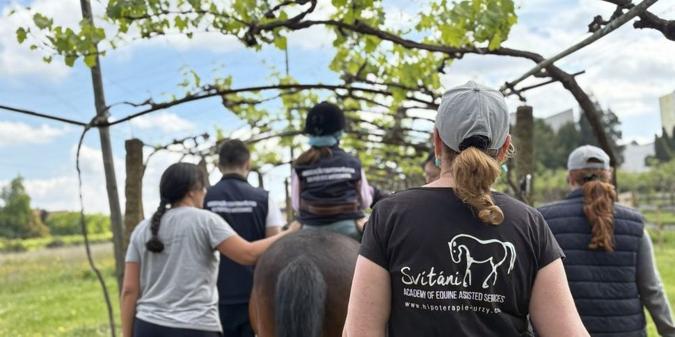 Student practising equine handling skills during supervised Equine Assisted Services education.